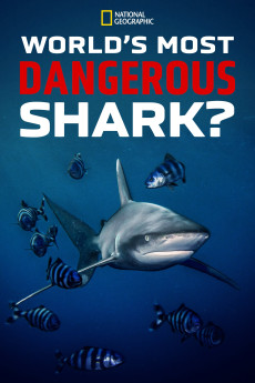 World’s Most Dangerous Shark Documentary مستند