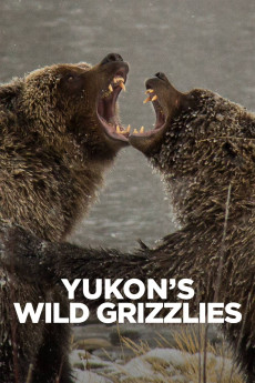 Yukon’s Wild Grizzlies Documentary مستند