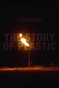 The.Story.of.Plastic.2019.720p.AMZN.WEBRip.800MB.x264-GalaxyRG