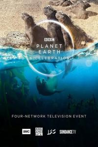 Planet.Earth.A.Celebration.2020.1080p.iP.WEBRip.AAC2.0.x264-BLUTONiUM[TGx]