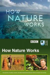 How Nature Works 2012 S01 720p.10bit.BluRay.x265-budgetbits