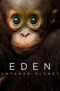 Eden: Untamed Planet 2021 S01 720p.10bit.BluRay.x265-budgetbits