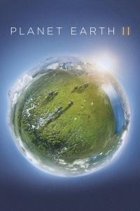 Planet.Earth.II.S01.2160p.BluRay.Remux.DTS-HD.MA5.1.H.265-FraMeSToR