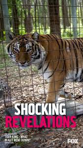 TMZ Investigates Tiger King What Really Went Down 2020 720p WEB-DL H264 BONE