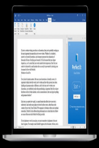 PerfectIt Pro v6.0.7 Pre-Activated [NiceCracks]