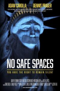 No.Safe.Spaces.2019.PROPER.1080p.WEB-DL.AAC.2.0.x264-iND