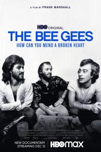 The.Bee.Gees.How.Can.You.Mend.a.Broken.Heart.2020.WEB.H264-Dual.YG⭐