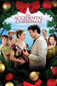 An.Accidental.Christmas.2007.720p.BluRay [YTS]