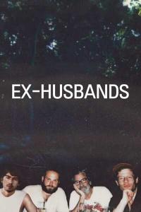 Ex-Husbands.2023.1080p.WEBRip.1400MB.DD5.1.x264-GalaxyRG