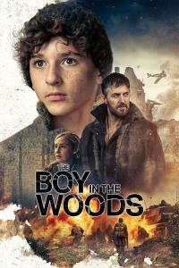 The.Boy.in.the.Woods.2023.1080p.WEBRip.AAC5.1 [YTS]