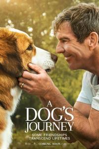 A.Dogs.Journey.2019.CUSTOM.HUN.PAL.DVDR – WB