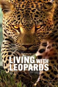 Living.With.Leopards.2024.NF.720p.WEBRip.x264-YIFY