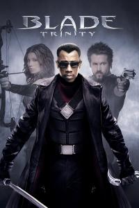 Blade.Trinity.(2004).BluRay.2160p.AI.Upscale.DTS-HD.MA.6.1.10Bit.x265-ZAX