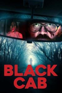 Black.Cab.2024.1080p.AMZN.WEBRip.DDP5.1.x265.10bit-GalaxyRG265