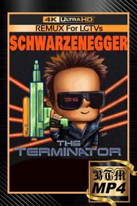 The.Terminator.1984.2160p.UHD.BluRay.REMUX.DV.HDR.MULTi.DDP5.1.H265.MP4-BEN.THE.MEN