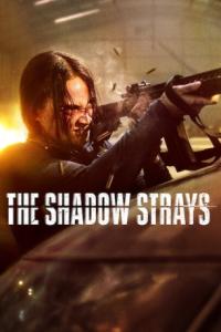 The.Shadow.Strays.2024.1080p.ITA-IND-ENG.MULTI.WEBRip.x265.AAC-V3SP4EV3R.mkv