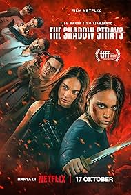 The.Shadow.Strays.2024.iNDONESiAN.NORDiCSUBS.1080p.WEBRip.10Bit.x265-SWAXX