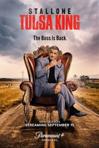 Tulsa.King.2×06.La.Navigator.ITA.AMZN.WEB-DLRip.x264-UBi.mkv