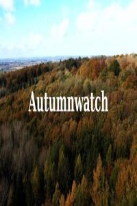 BBC.Autumnwatch.2024.1080p.x265.AAC.MVGroup.org.mkv