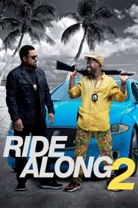 Ride Along 2 (2016) 1080p NF WEB-DL [EN-TR] DDP5.1 H.264-TURG