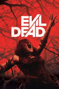 Evil.Dead.2013.1080p.NF.WEB-DL.DDP5.1.H.264-TURG