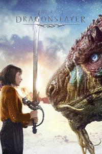 The Last Dragonslayer 2016 720p WEB-DL HEVC x265 BONE