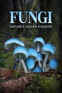 BBC.Fungi.The.Web.of.Life.1080p.HDTV.x265.AAC.MVGroup.org.mkv