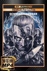 Terminator.2.Judgment.Day.1991.THEATRICAL.2160p.BluRay.DV.HDR.MULTi.DDP.5.1.H265.MP4-BEN.THE.MEN