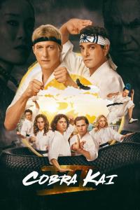 Cobra.Kai.S06.COMPLETE.720p.NF.WEBRip.x264-GalaxyTV