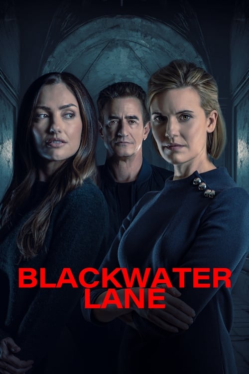 Blackwater.Lane.2024.1080p.BluRay.x264-FHC.mkv