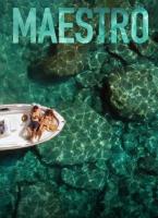 Maestro.in.Blue.S03E02.1080p.WEB-DL.GREEK.AAC.H.264-VMTEAM