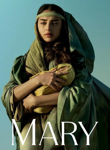 Mary.2024.1080p.10bit.WEBRip.6CH.x265.HEVC-PSA