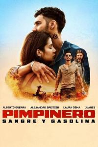 Pimpinero; Morte e Contrabbando (2024) mkv 720p WEB-DL DDP 5 1 iTA SPA H264 – FHC