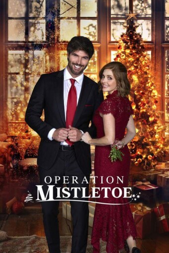 Operation Mistletoe 2024 1080p WEB-DL HEVC x265 5.1 BONE