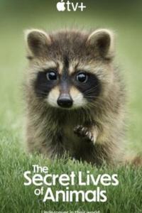 The.Secret.Lives.of.Animals.S01.COMPLETE.1080p.ATVP.WEB-DL.DDP5.1.Atmos.H.264-FLUX[TGx]