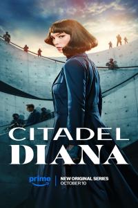 Citadel.Diana.S01.DUAL.1080p.WEBRip.x265-KONTRAST