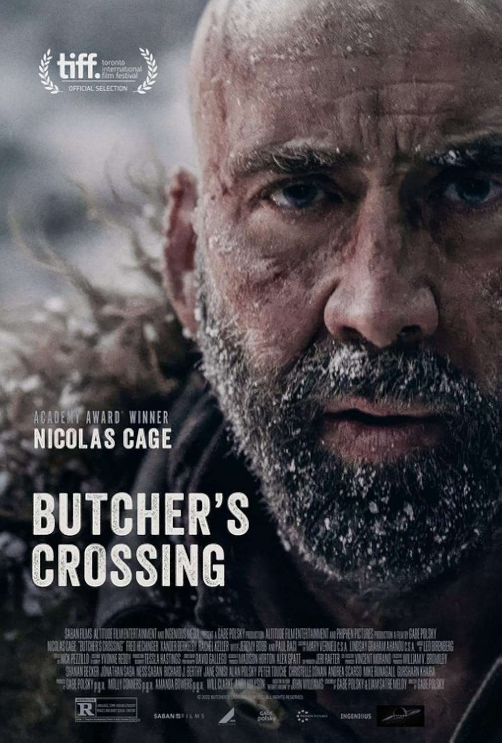 Butcher.s.Crossing.2022.FULLHD.1080p.x264.DTS-AC3.ENG.AC3.ITA