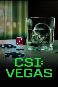 CSI Vegas S03E02 Scar Tissue 720p AMZN WEB-DL DDP5 1 H 264-NTb[TGx]