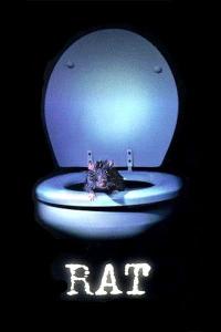 Rat.1998.1080p.x265.AAC.MVGroup.Forum.mkv