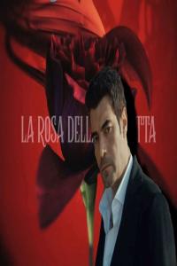 Gülcemal – La Rosa della Vendetta (2023) s01e09-10 [Mkv – 1080p H264 – Ita Tur Aac 2.0]