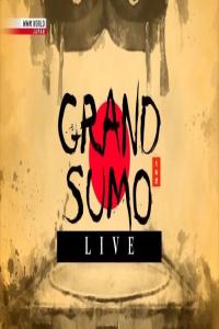 NHK.Grand.Sumo.Live.November.2024.720p.HDTV.x265.AAC.MVGroup.Forum.mkv