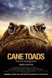 Cane.Toads.The.Conquest.2010.1080p.x265.AAC.MVGroup.Forum.mkv