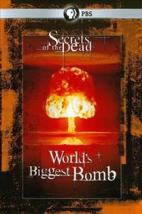 PBS.Secrets.of.the.Dead.The.Worlds.Biggest.Bomb.1080p.HDTV.x264.AC3.MVGroup.org.mkv