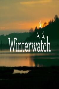 BBC.Winterwatch.2025.4of4.1080p.HDTV.x265.AAC.MVGroup.org.mkv