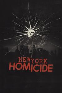 New York Homicide S03E01 Deadly Lesson 720p AMZN WEB-DL DDP2 0 H264-RAWR[TGx]