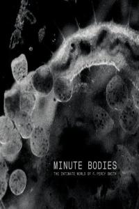 Minute.Bodies.1080p.BluRay.h266.AAC.MVGroup.Forum.mp4