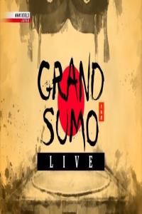 NHK.Grand.Sumo.Live.January.2025.720p.HDTV.h266.AAC.MVGroup.Forum.mp4