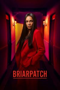 Briarpatch S01E01 1080p AMZN WEB-DL DD 5 1 H 264-iKA[TGx]